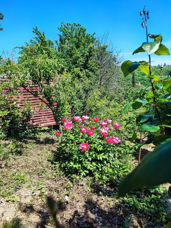 קופר Apartment Dedo, Salara Farmhouse מראה חיצוני תמונה