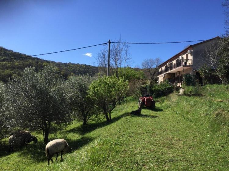 קופר Apartment Dedo, Salara Farmhouse מראה חיצוני תמונה